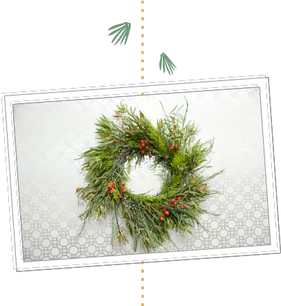 Holiday Wreath Using Plants From Juniper Png Holiday Wreath Png