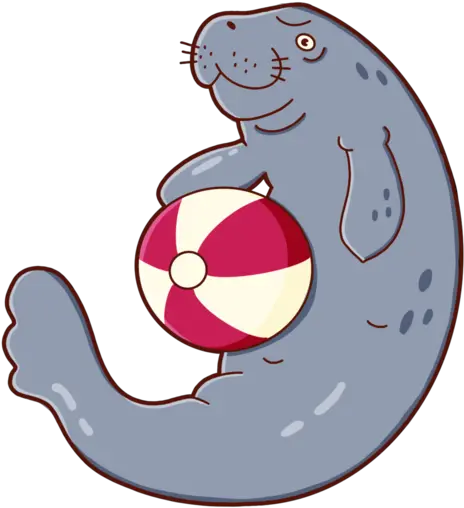 Visit Florida Danvillage Illustration Png Manatee