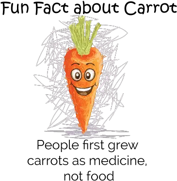 What Are The Health Benefits Of Carrot And When To Avoid It Baby Carrot Png Carrots Png