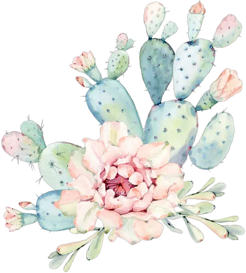 Hand Drawn Watercolor Saguaro Cactus Cactus Png Watercolor Cactus Png