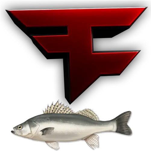 Needs To Effect Nanoparticle On Fish Png Faze Banks Logo