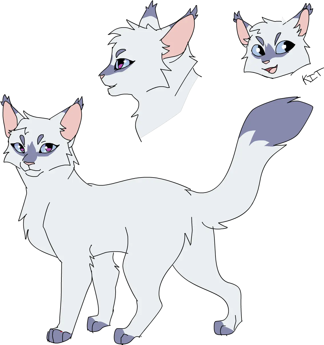 Download My Snowfur Design Warrior Cat Drawings Warrior Cat Drawing Base Png Cats Png