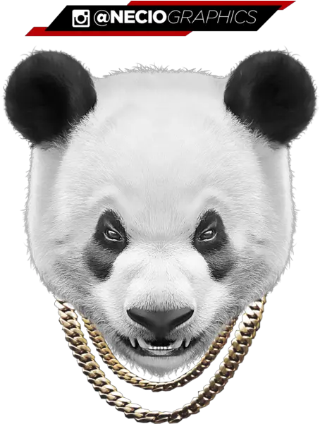 Download Panda Chain Panda Flow Png Image With No Panda Flyer Flow Png