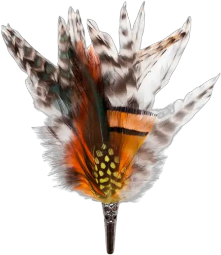 Loose Brooch Feathers Oranges U0026 Beige My Bob Milkweed Butterflies Png Oranges Png