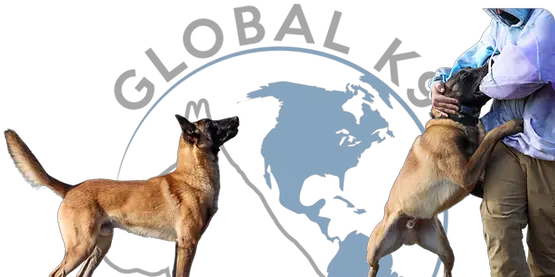 Meet Icon Global K9 Collar Png Google Meet Icon