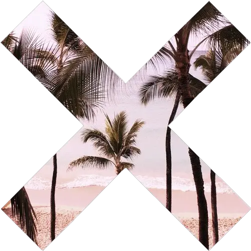 Transparent Stuff U2014 The Xx Symbol Palmtrees With Pohon Kelapa Png Palm Trees Transparent