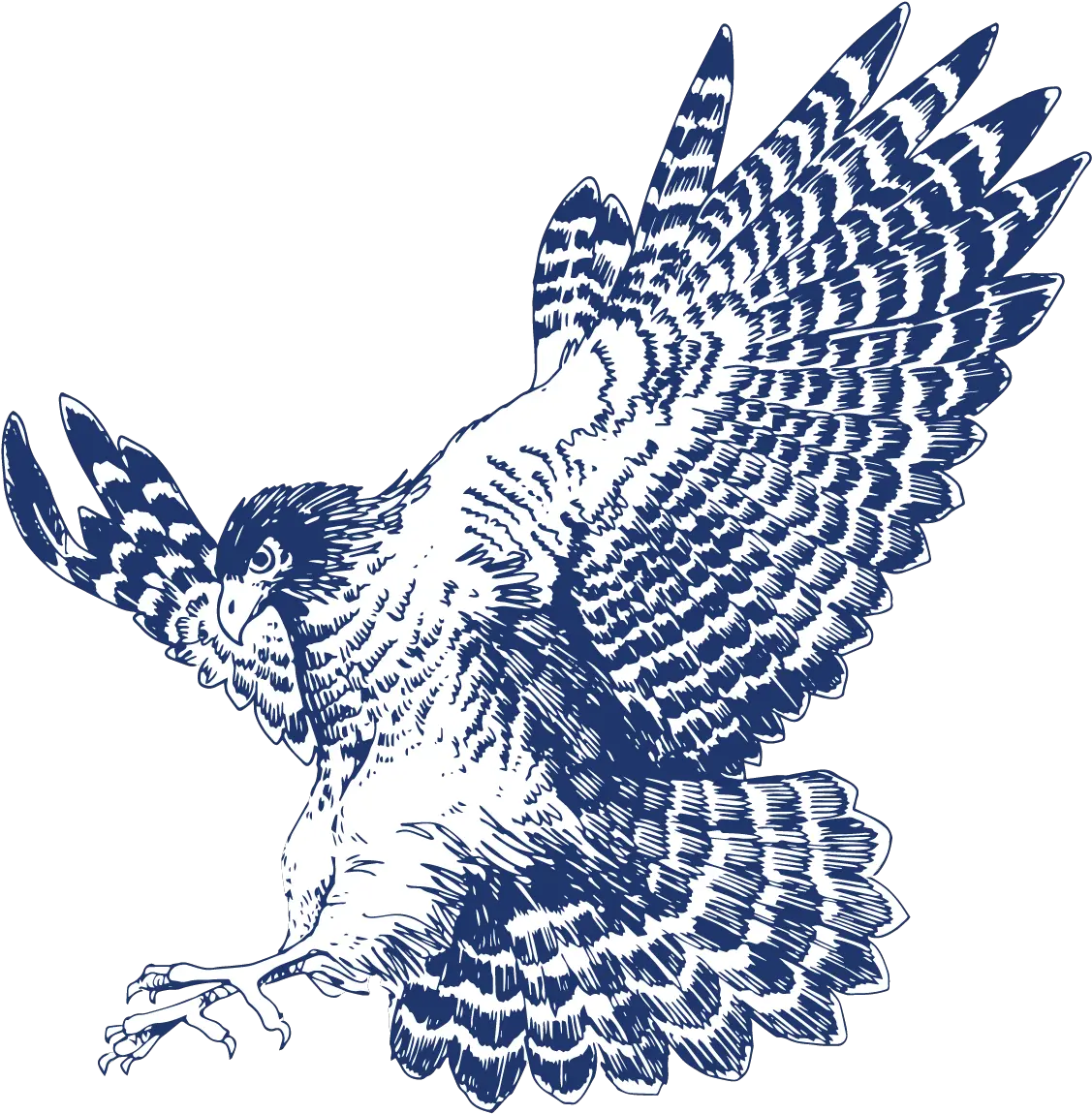 Download Hd If You Have An Idea For The Hawk Eye To Cover Golden Eagle Png Hawk Png