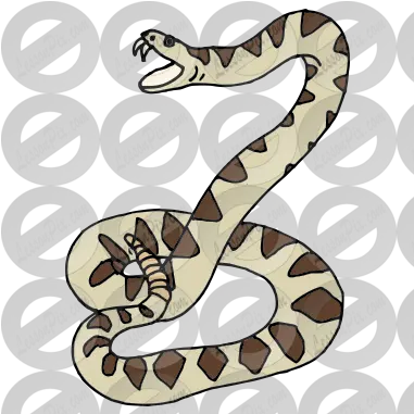 Rattlesnake Picture For Classroom Therapy Use Great Python Png Rattlesnake Png