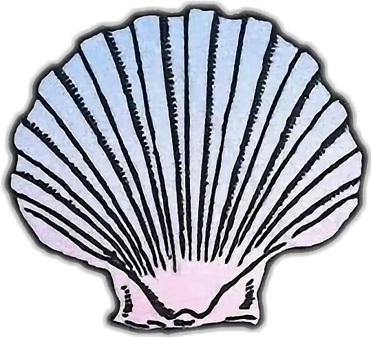 Download Hd Transparent Sea Shell Clip Art Png Shell Clip Art Blue Shell Png