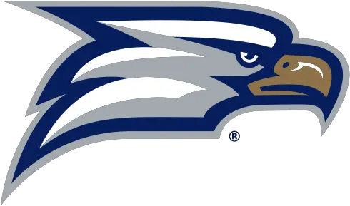 Georgia Southern Eagles Logo Png Eagle Head