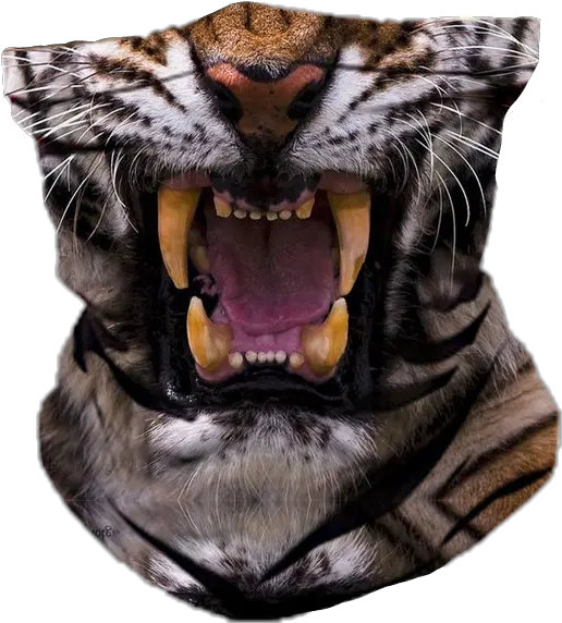 Tiger Ski Mask Png Official Psds Tiger Eyes Mad Ski Mask Transparent