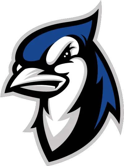 Blue Jay Vector Elizabethtown College Blue Jays Png Blue Jay Png