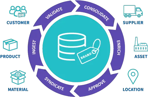 Multi Domain Master Data Management Mdm What Who U0026 Why Data Syndication Png Master Data Management Icon