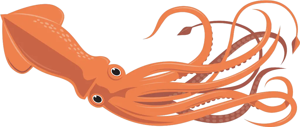 Vbs Fletcher First Baptist Church Giant Squid Clip Art Squid Clipart Png Squid Png