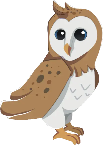 Custom Animals Animal Jam Archives Png Barn Owl