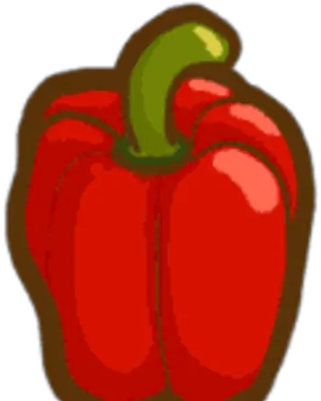 Bell Pepper Red Bell Pepper Png Bell Pepper Png