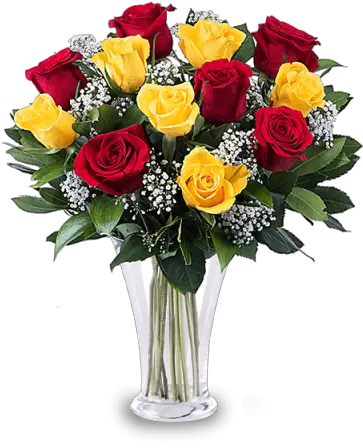 Yellow Roses Oldsmar Florist Png