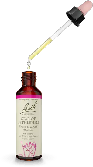 Bach Star Of Bethlehem Bach Flower Remedies Png Star Of Bethlehem Png