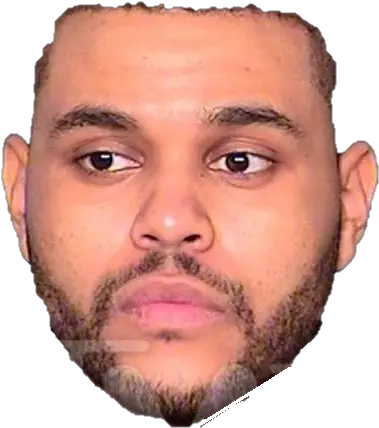 Download Here Have A Transparent Mugshot Of Abel Weeknd Arrested Png The Weeknd Png