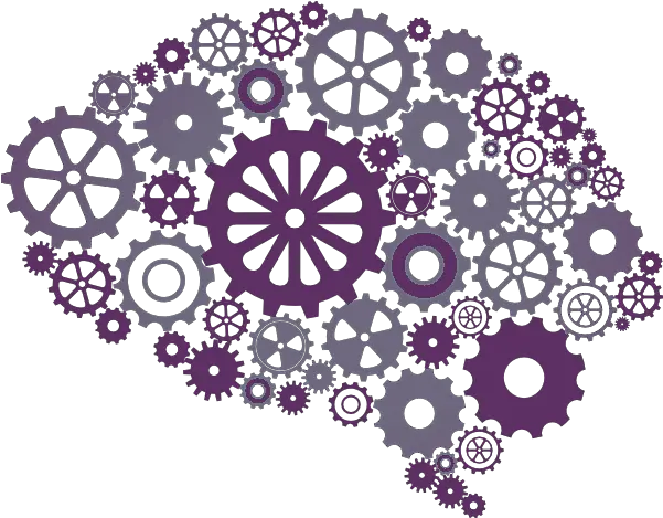 Download The Brain Needs To Work Brain Gears Png Png Image Foundation Of Knowledge Model Gears Png