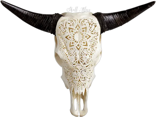 Download Carved Cow Skull Xl Horns Xl Horns Png Image Bull Bull Horns Png