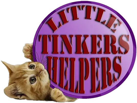 Little Tinkers Helpers Blackburn Cat Adoptions Cute Ginger Kittens Png Cats Transparent