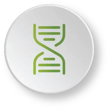 Talentgps Sparxiq Sales Assessment Language Png Dna Match Icon