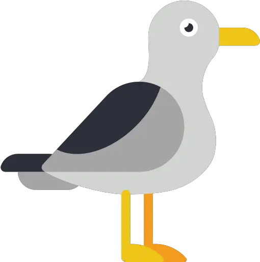 Seagull Free Vector Icons Designed Möwe Icon Png Seagull Icon