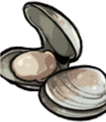 Clam Spiritfarer Wiki Fandom Chilean Oyster Png Clam Png