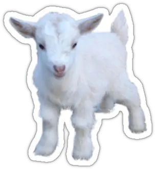 Goat Sticker Goat Sticker Png Goat Png