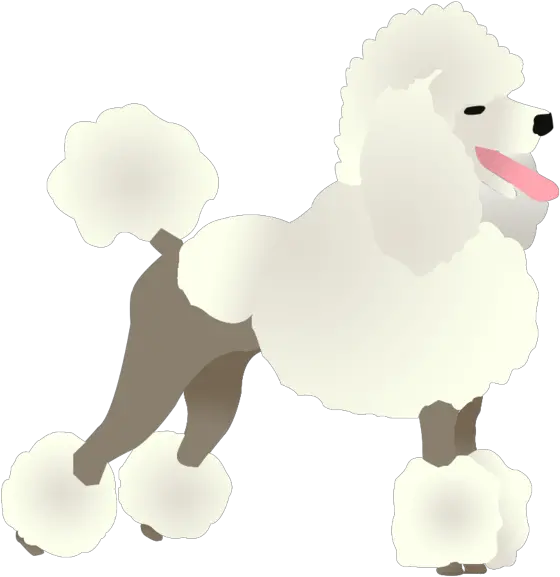 Download Poodle Standard Poodle Png Poodle Png