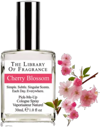 Cherry Blossom 30 Ml Perfume Png Sakura Petals Png