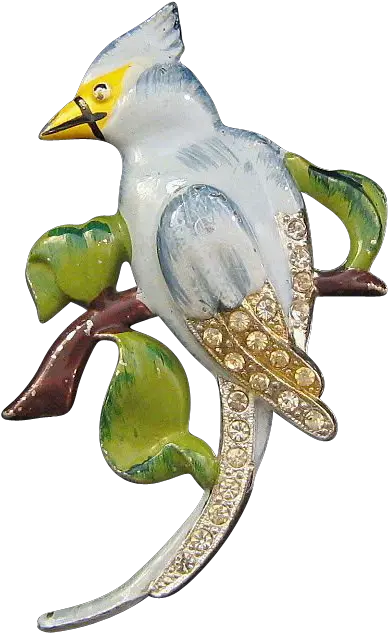 Rhinestone Blue Jay Bird Brooch Northern Mockingbird Png Blue Jay Png