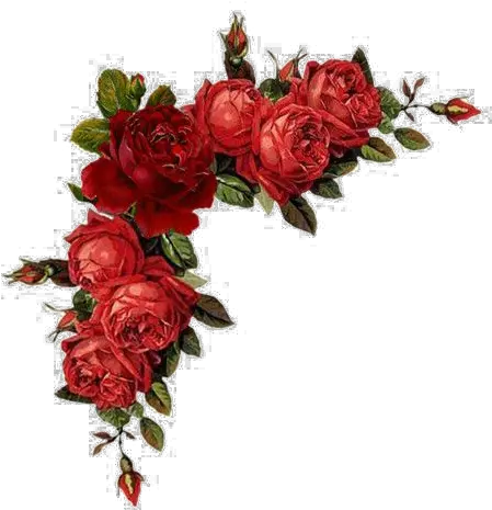 Red Floral Border Png Pic Arts Border Red Flowers Png Red Border Png