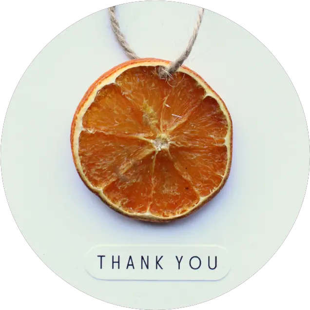 Dried Orange Slice Card Shelley Makes Clementine Png Orange Slice Png