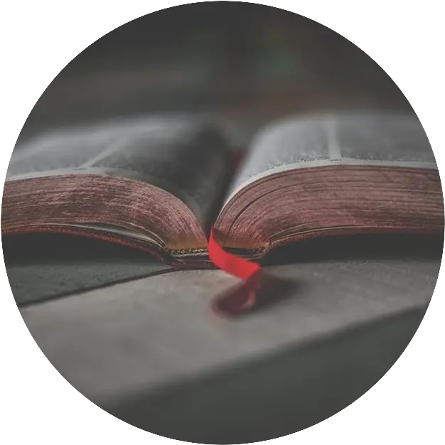 Download Open Bible The Bible Png Open Bible Png