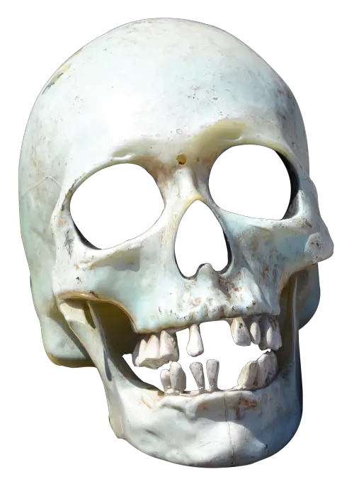 Poison Skull Png