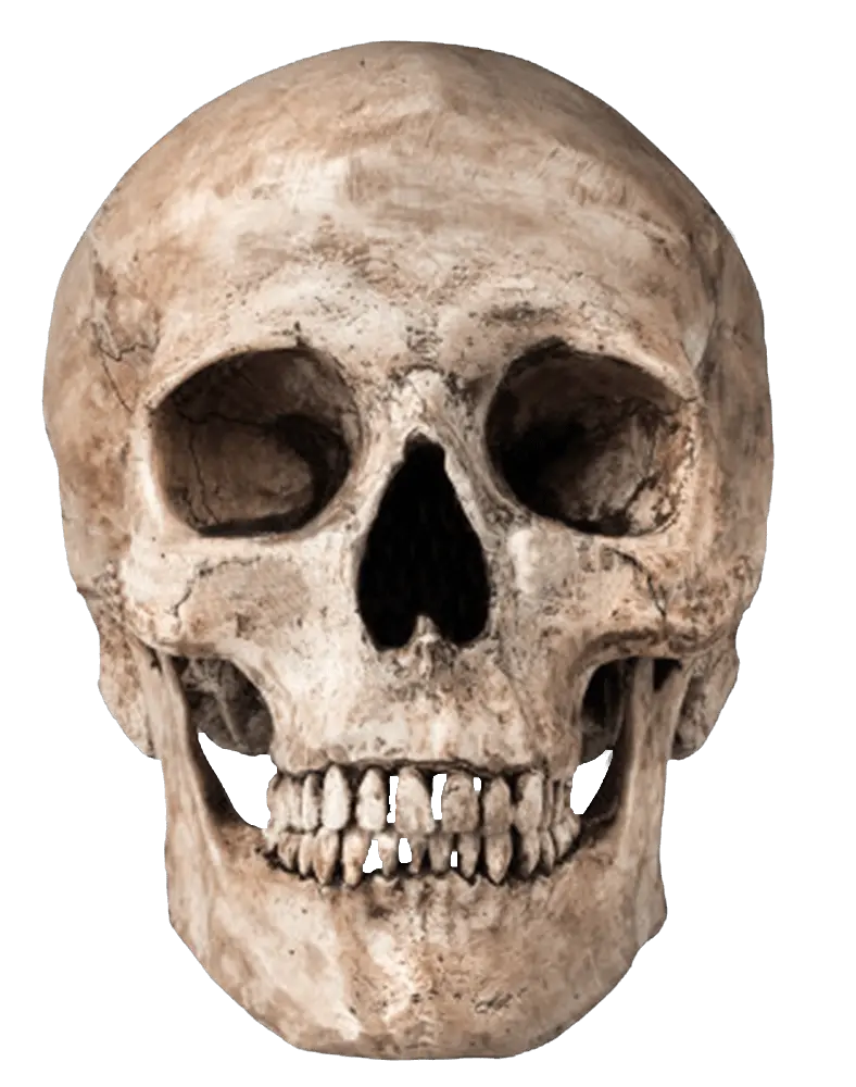 Old Skull Png