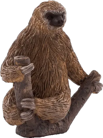 Download Did Animal Planet Two Toed Sloth Png Image With Mojo Two Toed Sloth Animal Planet Logo Png