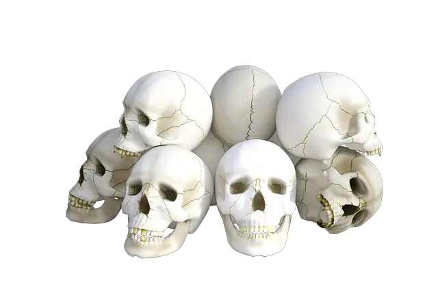 Geometric Skull Png