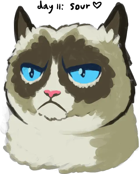 Catnipoverdose Catnip0verdose Twitter Soft Png Grumpy Cat Icon