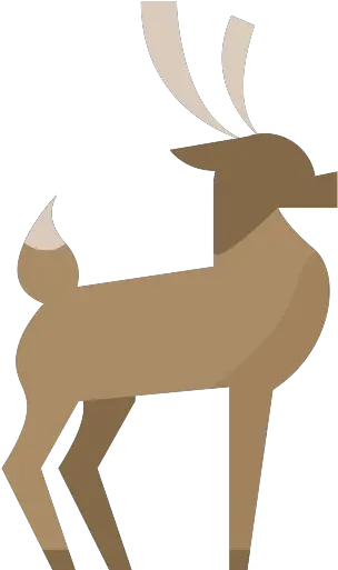 Seashell Png Icon 34 Png Repo Free Png Icons Roe Deer Deer Png