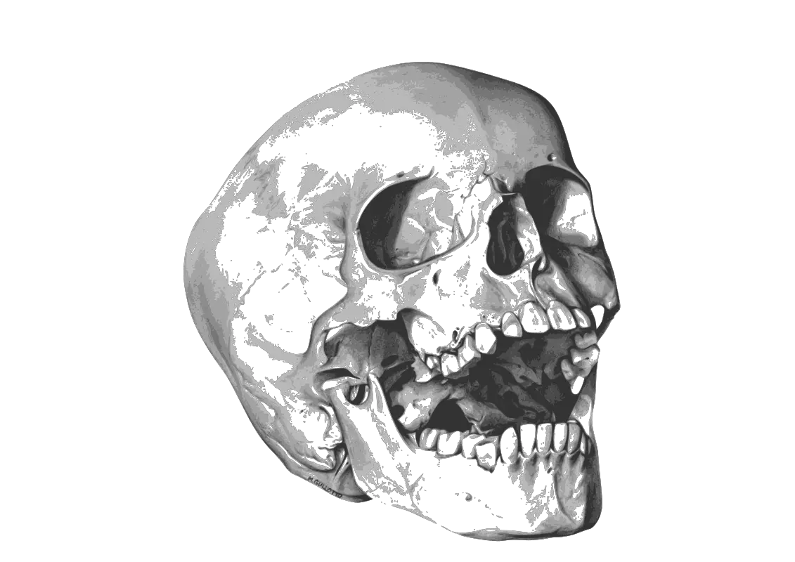 Evil Skull Png