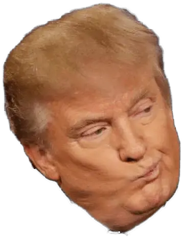 Trump Head Picture Free Stock Png Files Head Donald Trump Face Png Trump Head Transparent Background