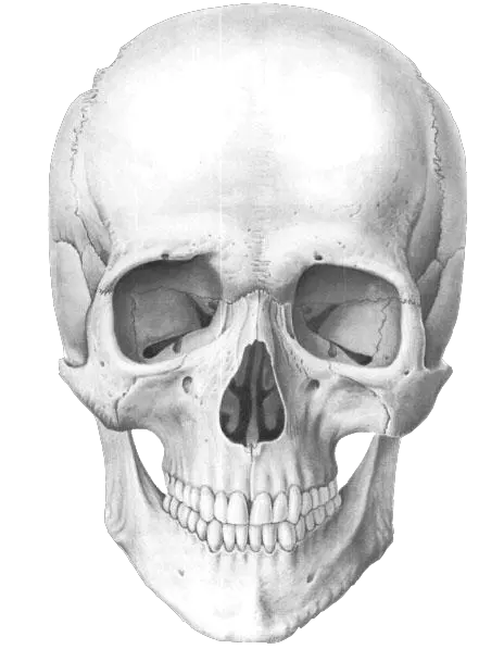 Chrome Skull Png