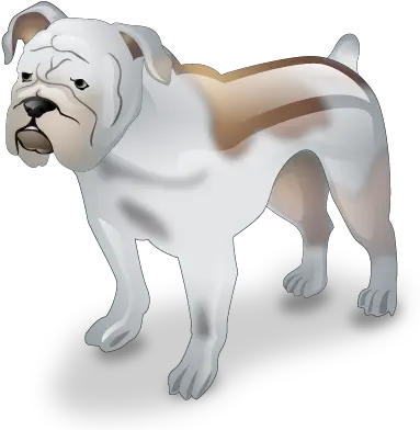 Bulldog Dog Pet Icon Animals Png Bulldog Png