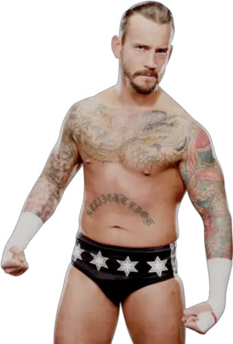 Voice Of The Voiceless Cm Punk Fondo De Pantalla 29437143 Cm Punk Wwe Champion Png Cm Punk Png