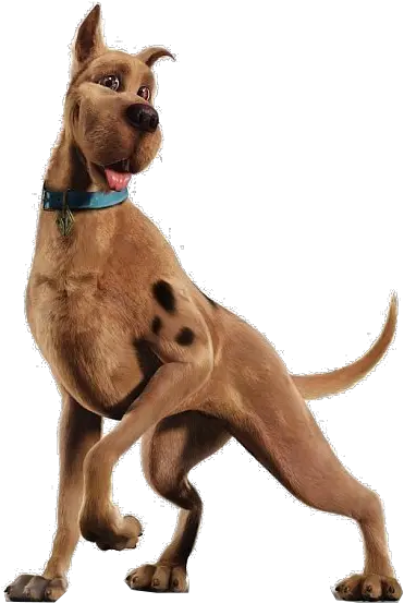 Download Hd Scooby Doo Scooby Doo Movie Png Transparent Scooby Doo Movie Scooby Scooby Doo Transparent