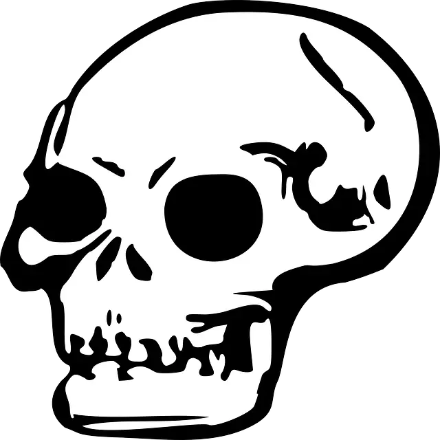 Smoke Skull Png