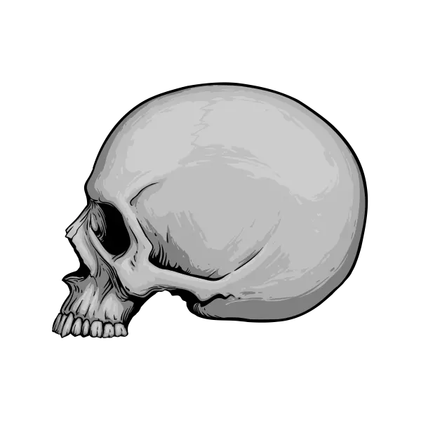 Devil Skull Png